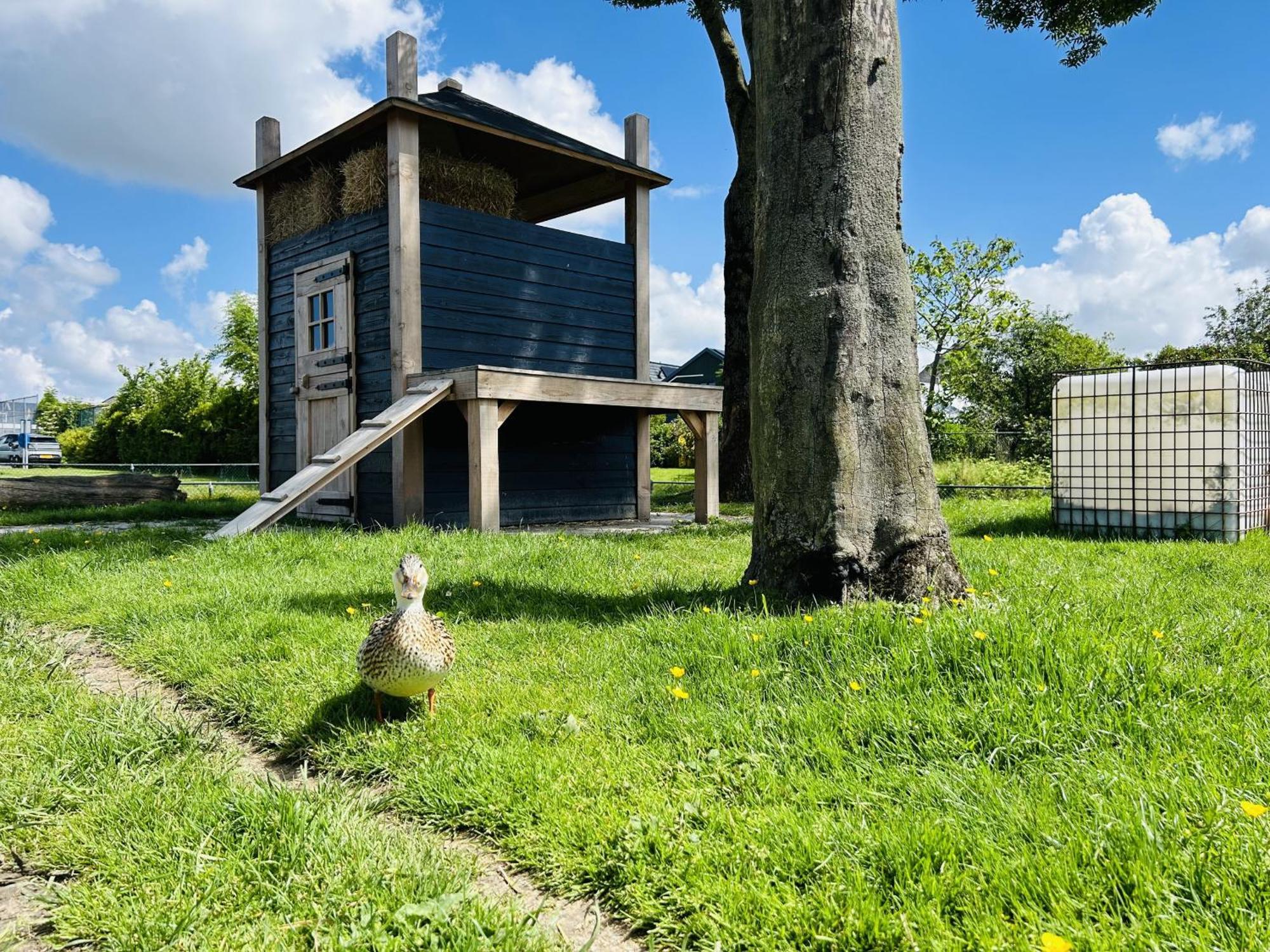 Bungalowpark De Horn - Floresta 215 Dirkshorn ภายนอก รูปภาพ